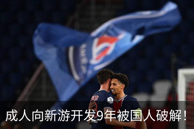 成人向新游开发9年被国人破解！作者崩溃 不想干了